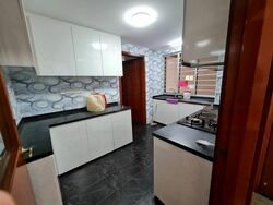 Parc Vista (D22), Condominium #464492731